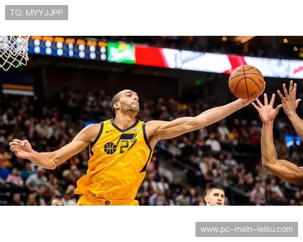 芝加哥天空防守体系构建，卡琳顿等球员防守贡献评估